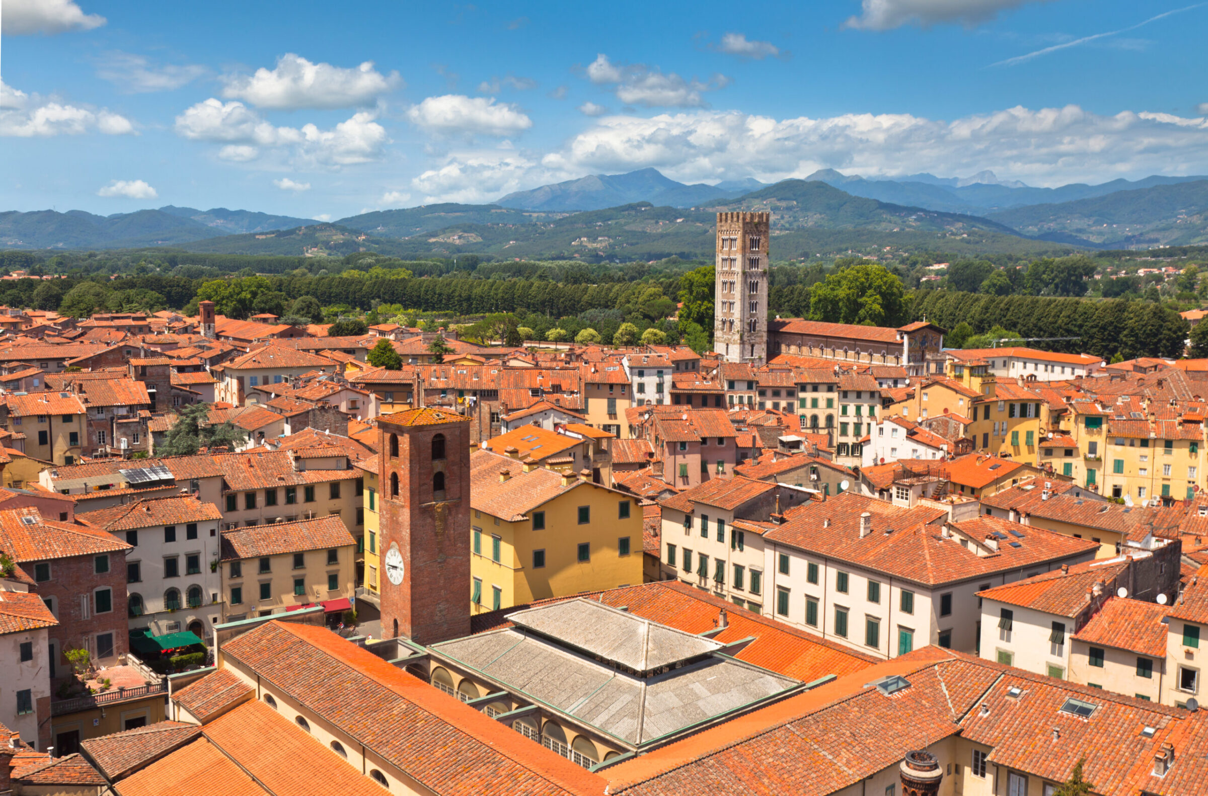 agenzia per il lavoro lucca