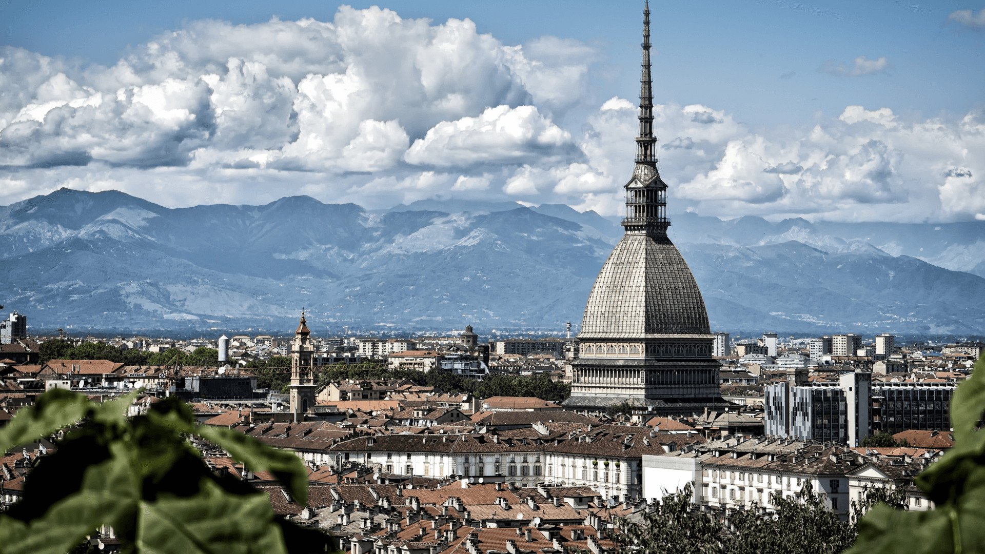 AxL Torino